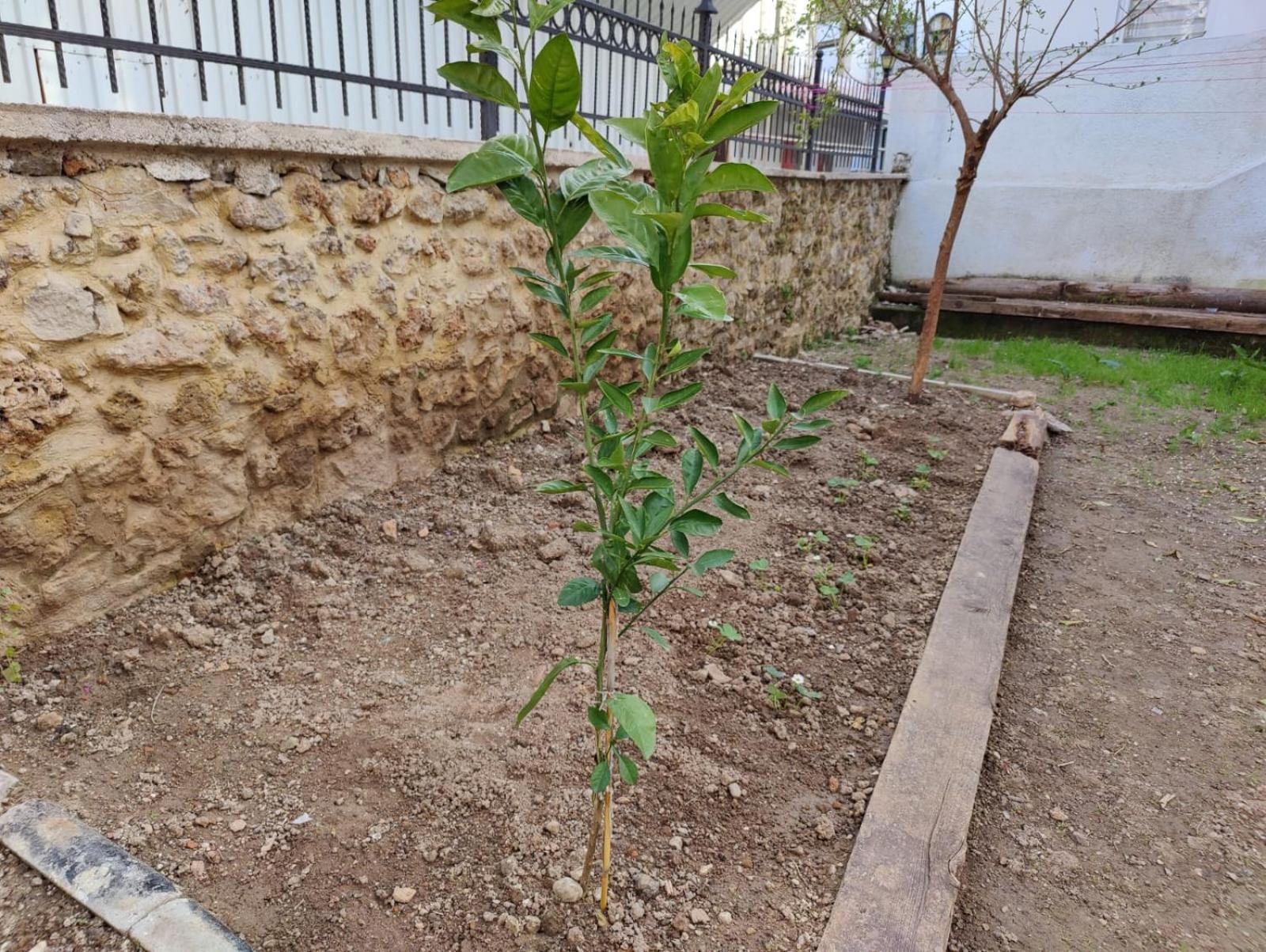 Gazde/Camere de închiriat Sefin Villasi