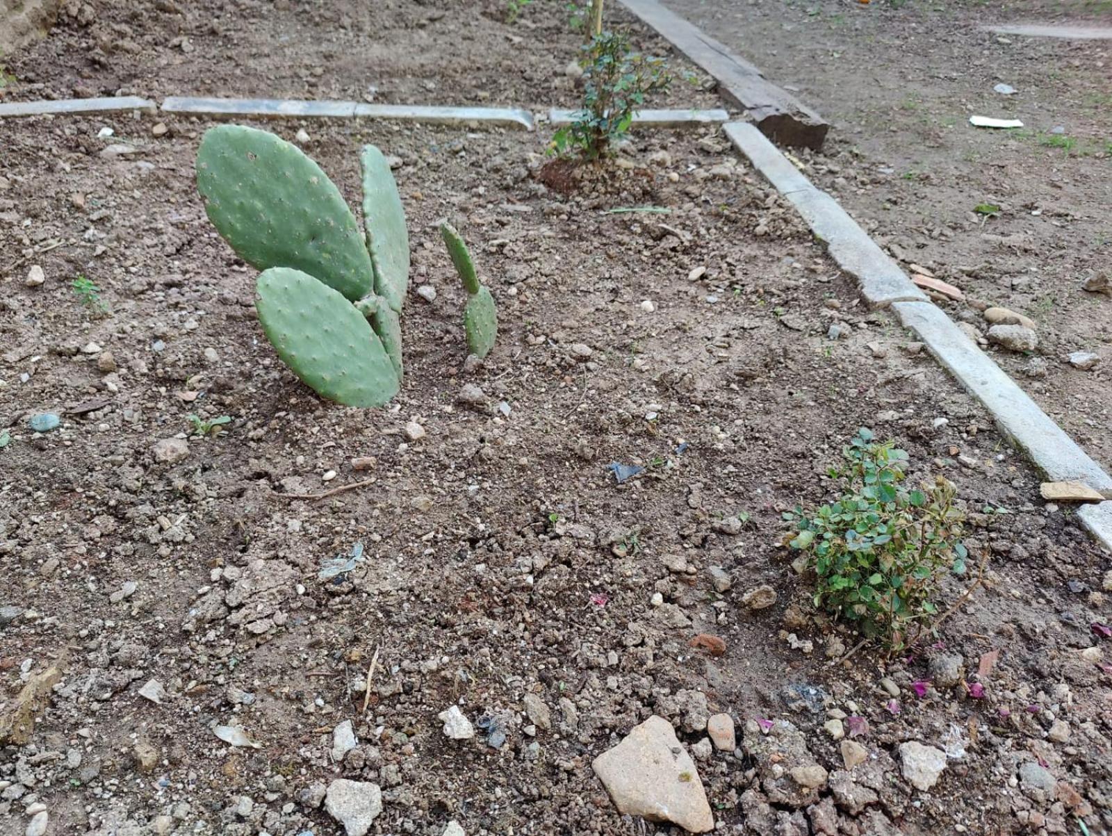 Sefin Villasi Gazde/Camere de închiriat *